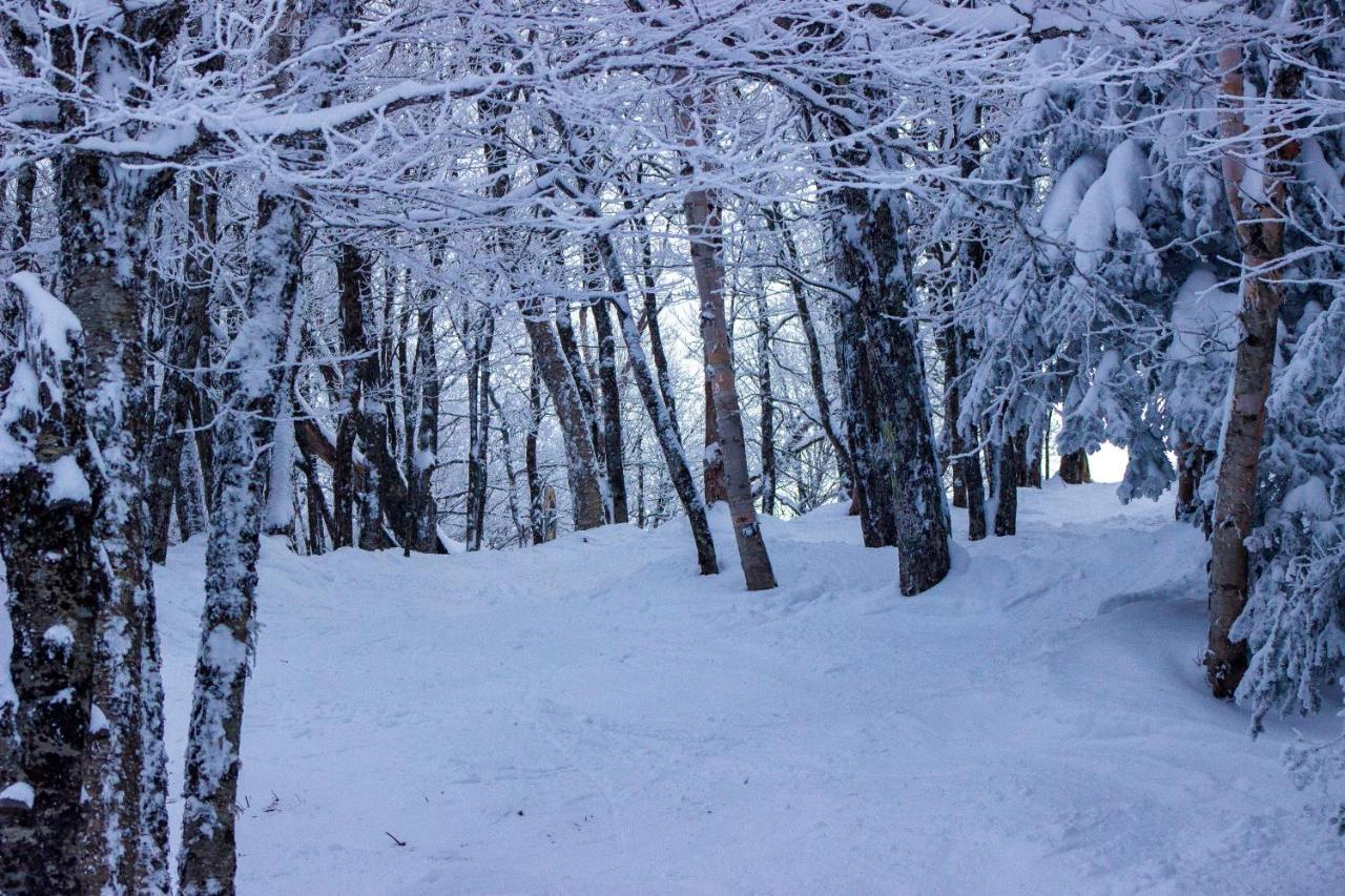 Smugglers' Notch Resort Private Suites Cambridge Exterior photo